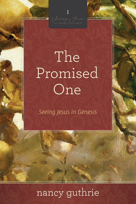 The Promised One (#01 in Seeing Jesus In The Old Testament Series)
