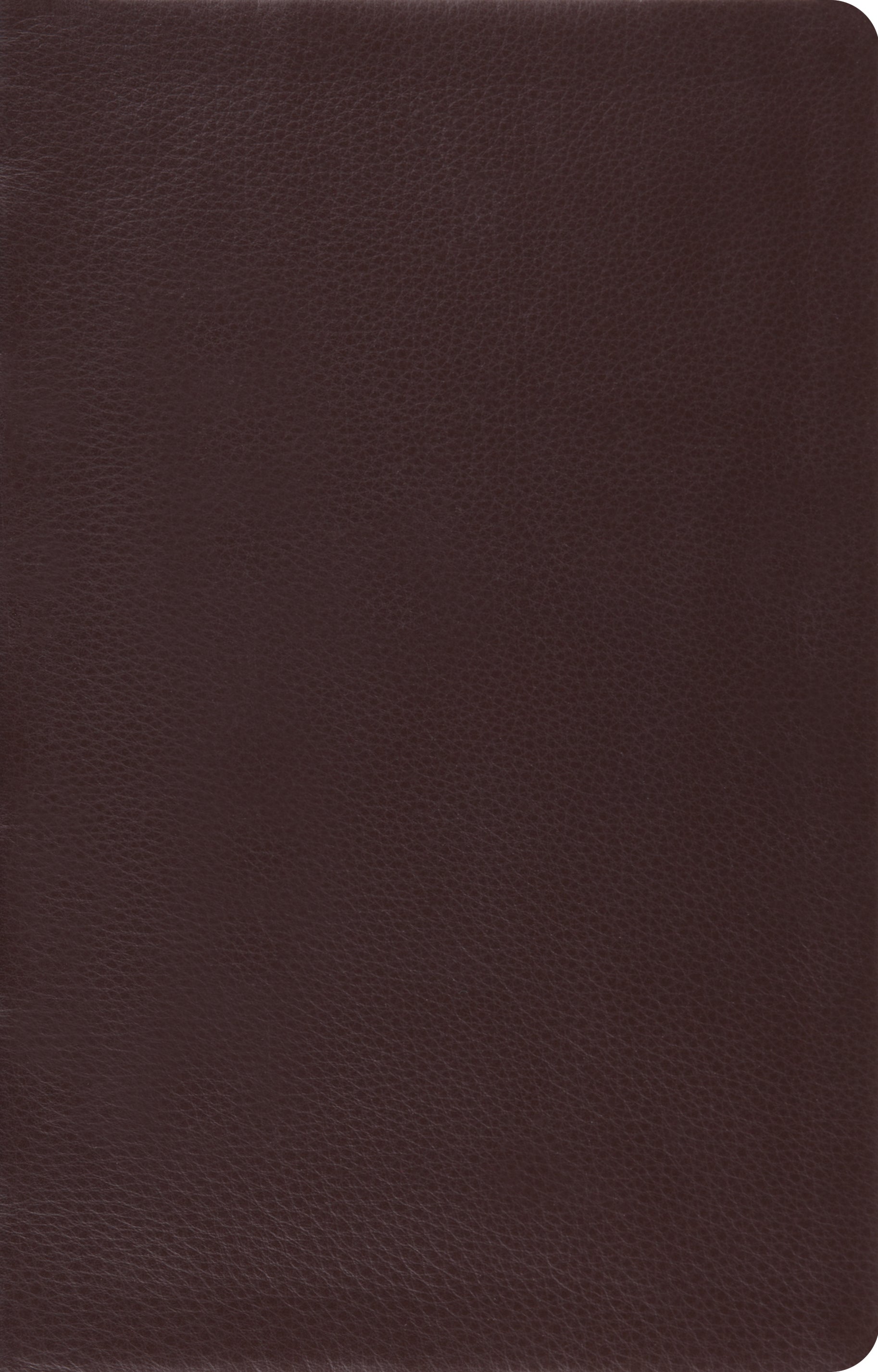 ESV Large Print Thinline Reference Bible Brown (Black Letter Edition)