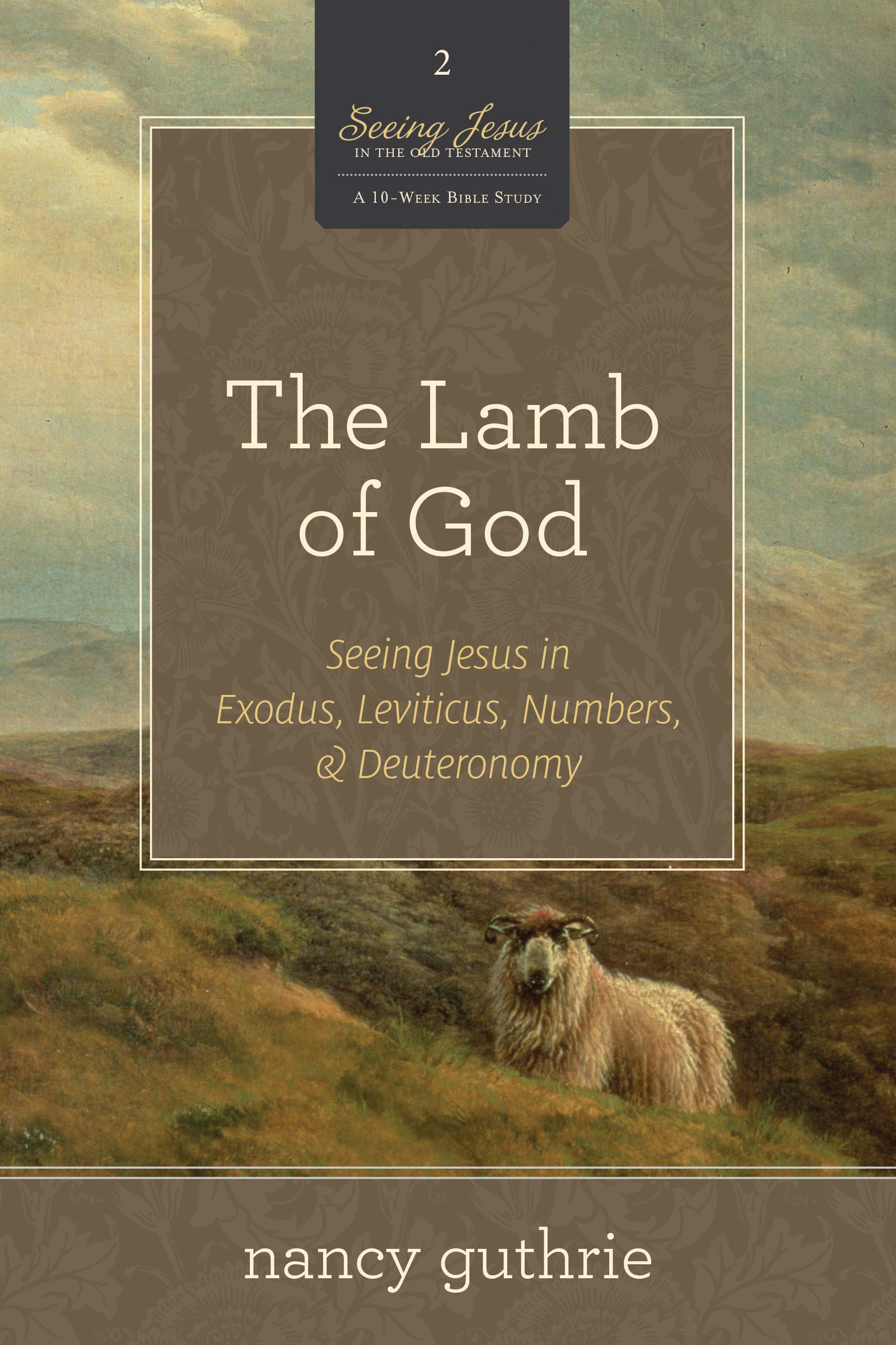 The Lamb of God (#02 in Seeing Jesus In The Old Testament Series)