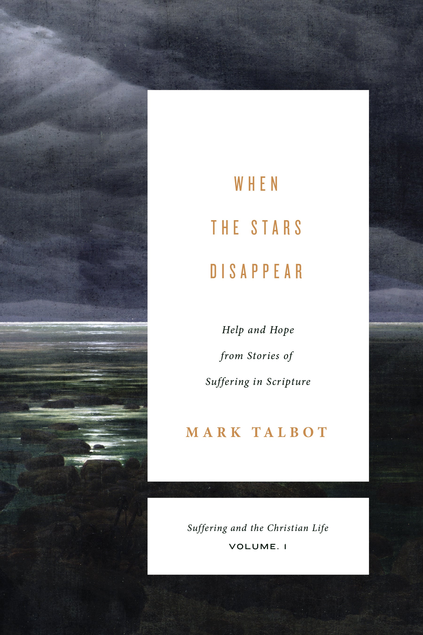 When the Stars Disappear: Help and Hope From Stories of Suffering in Scripture (#01 in Suffering And The Christian Life Series)