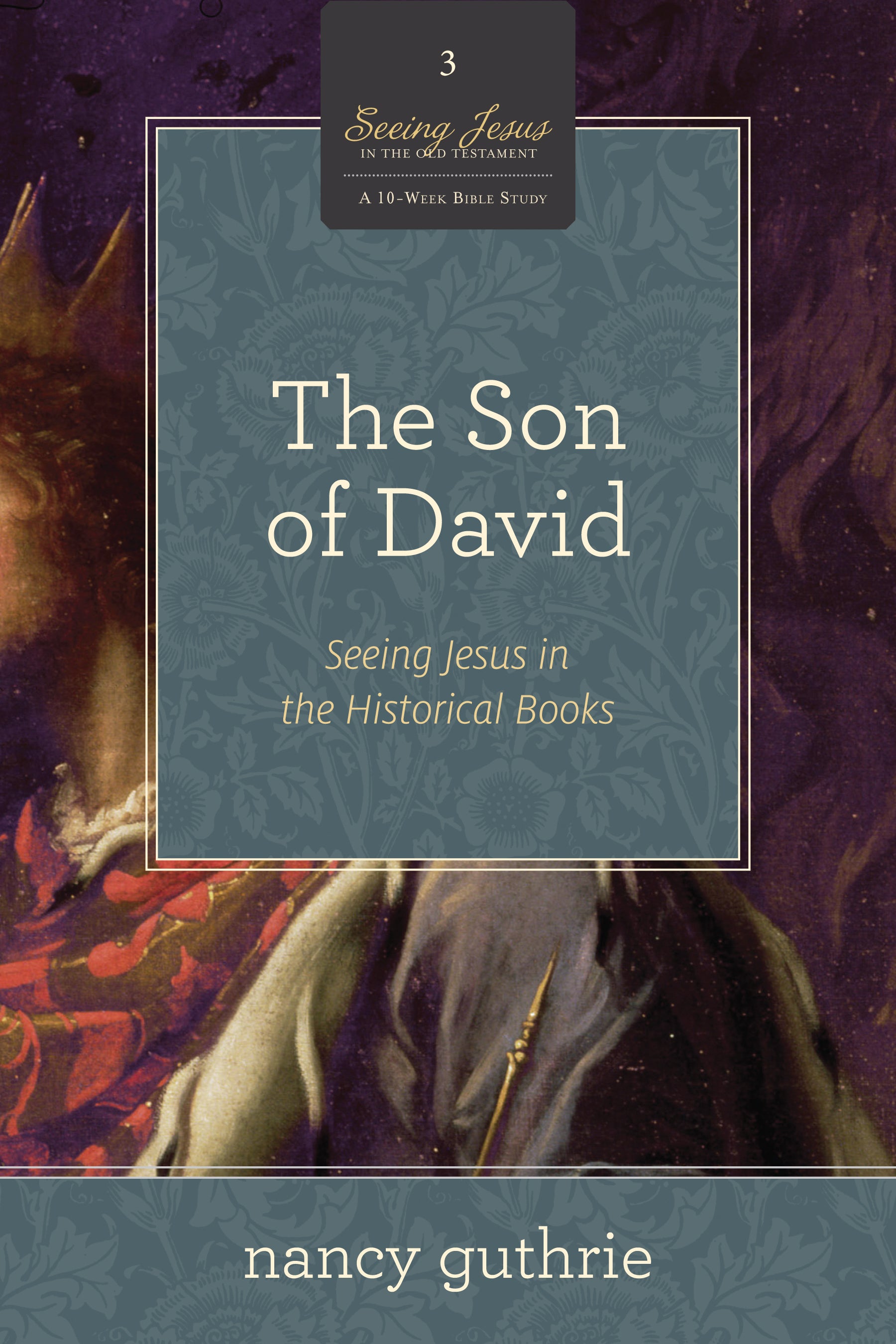 The Son of David (#03 in Seeing Jesus In The Old Testament Series)