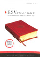 ESV Study Bible Personal Size Saddle Ornament Design (Black Letter Edition)