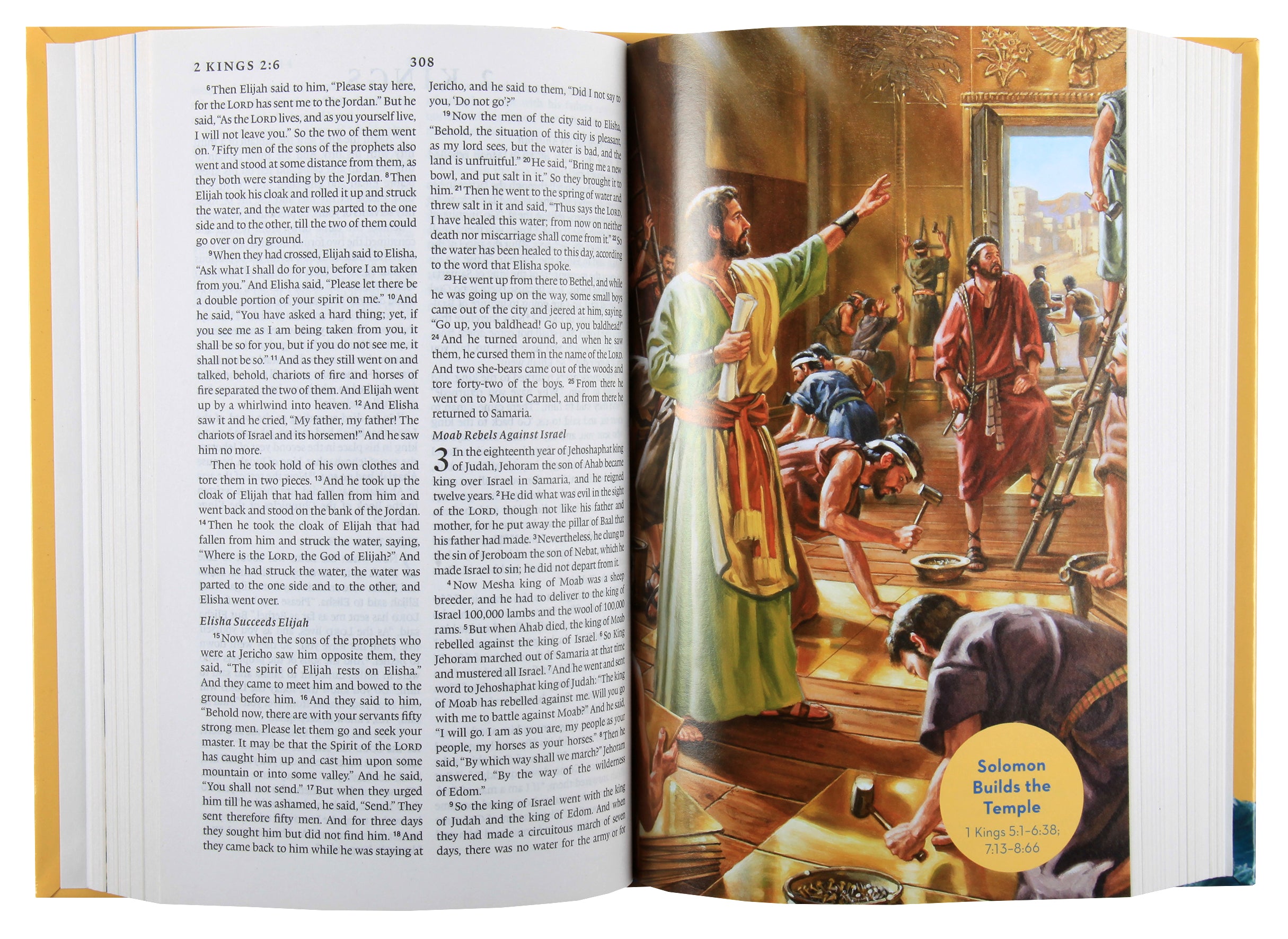 ESV Holy Bible For Kids (Black Letter Edition)