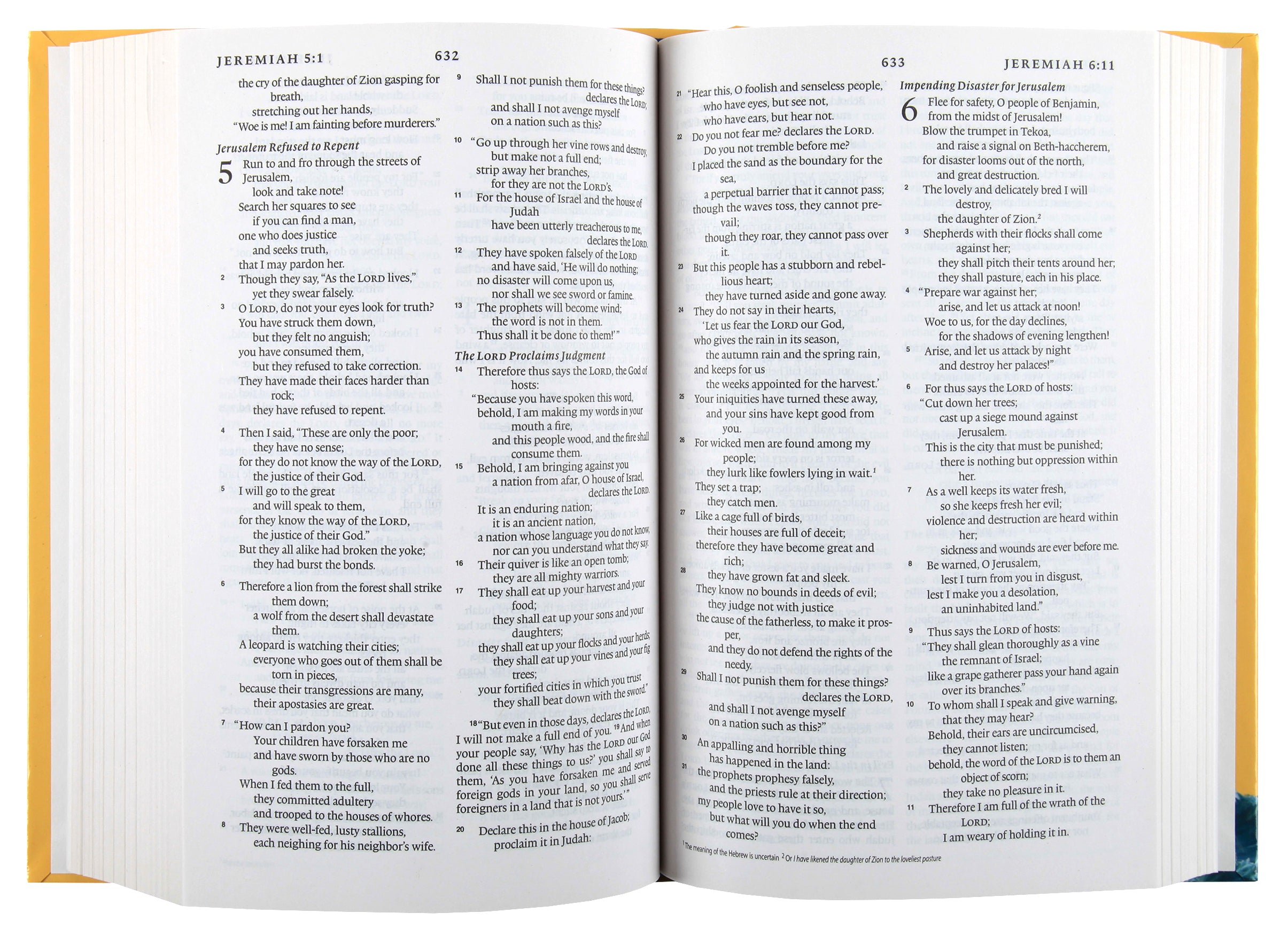 ESV Holy Bible For Kids (Black Letter Edition)