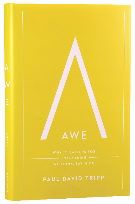 Awe: Why It Matters For Everything We Think, Say, and Do