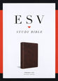 ESV Study Bible Personal Size Brown Trutone (Black Letter Edition)