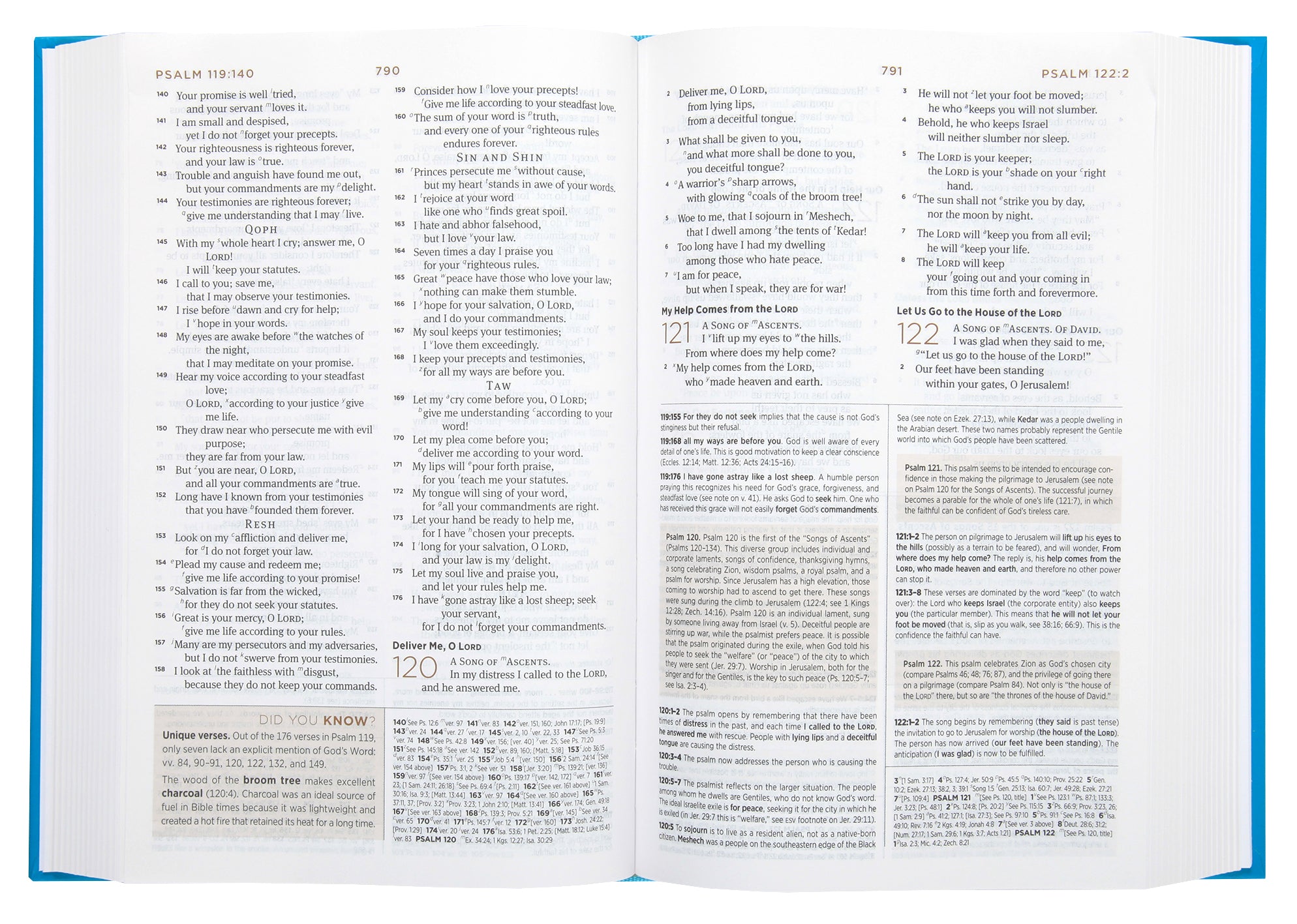 ESV Student Study Bible Light Blue (Black Letter Edition)