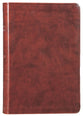 ESV Large Print Value Thinline Bible Chestnut (Black Letter Edition)