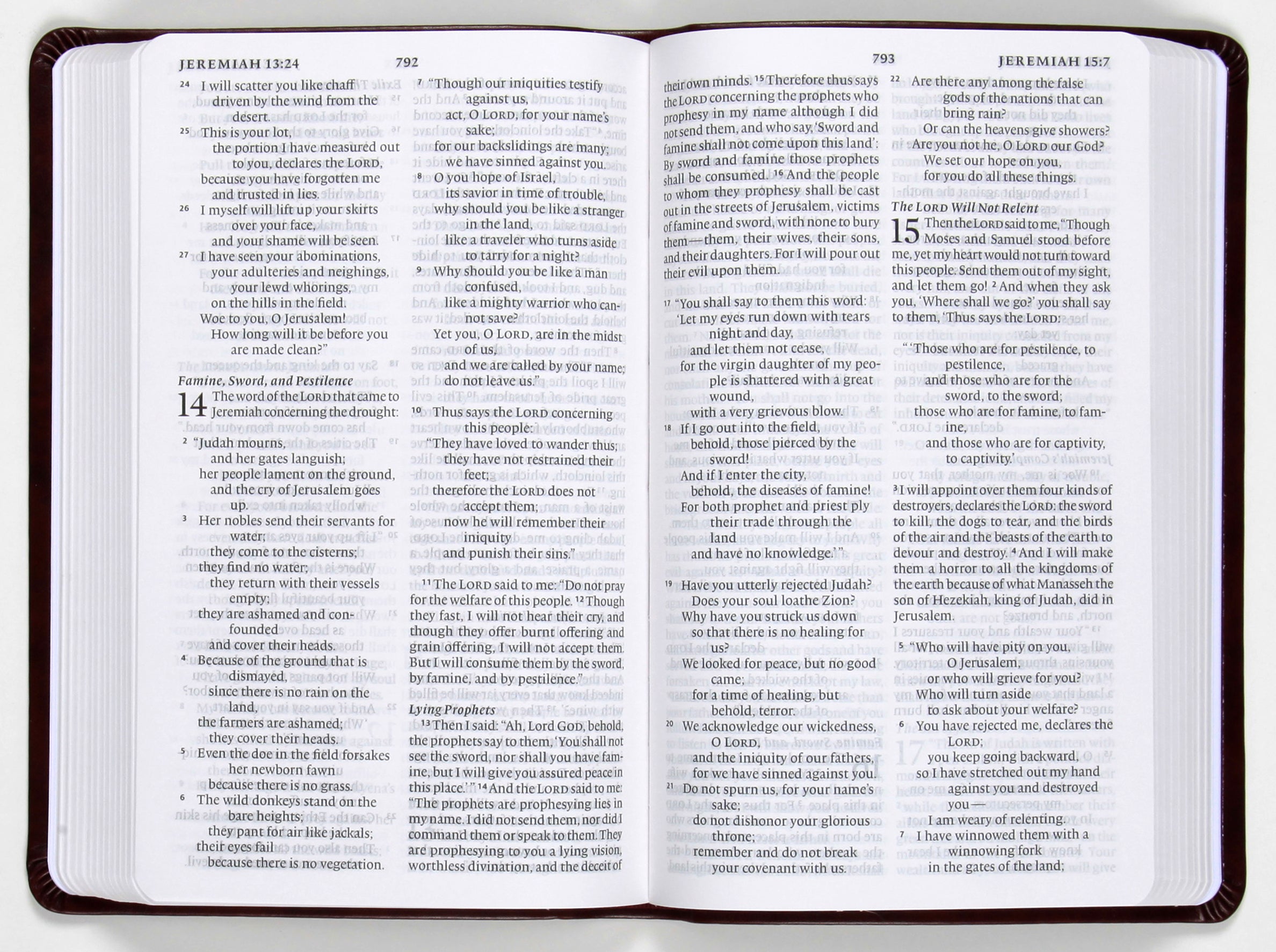 ESV Large Print Value Thinline Bible Mahogany Border (Black Letter Edition)