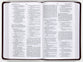 ESV Large Print Value Thinline Bible Mahogany Border (Black Letter Edition)