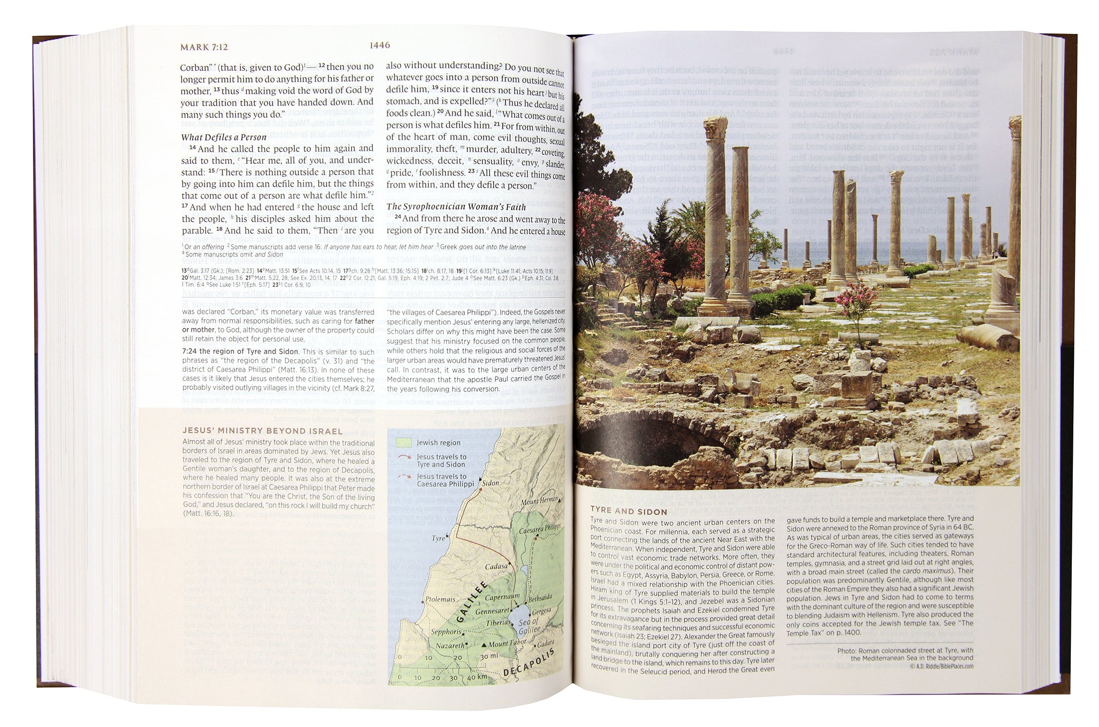ESV Archaeology Study Bible (Black Letter Edition)