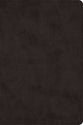 ESV Large Print Bible Black (Black Letter Edition)