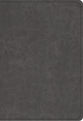 ESV Student Study Bible Gray (Black Letter Edition)