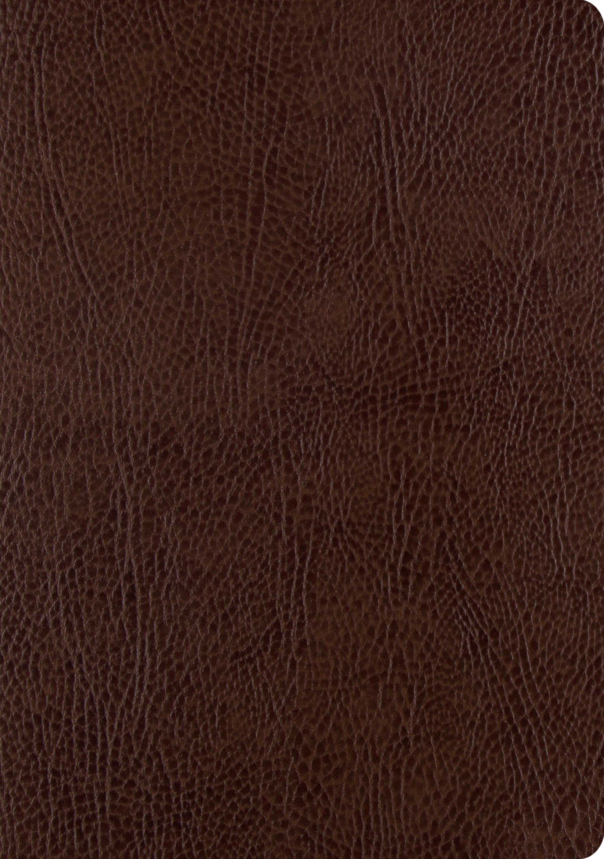 ESV Single Column Journaling Bible Large Print Mocha (Black Letter Edition)