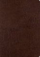 ESV Single Column Journaling Bible Large Print Mocha (Black Letter Edition)