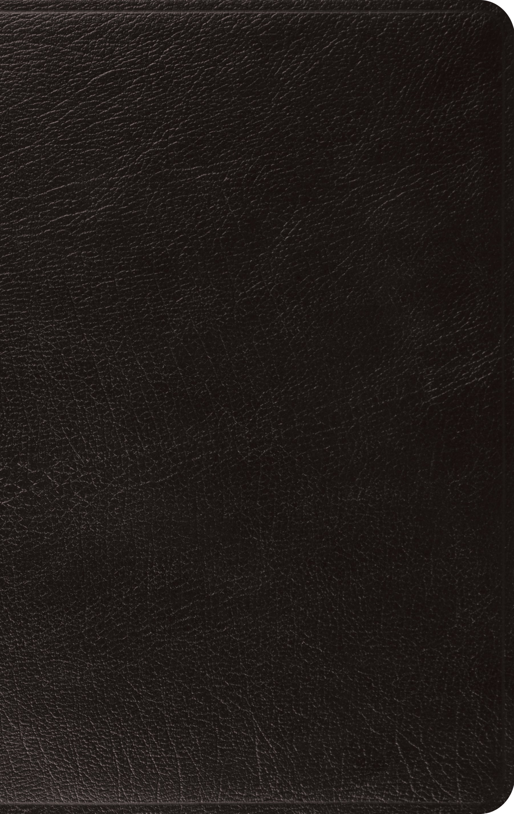 ESV Large Print Thinline Bible Black (Black Letter Edition)