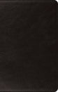ESV Large Print Thinline Bible Black (Black Letter Edition)