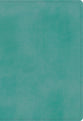 ESV Student Study Bible Turquoise (Black Letter Edition)