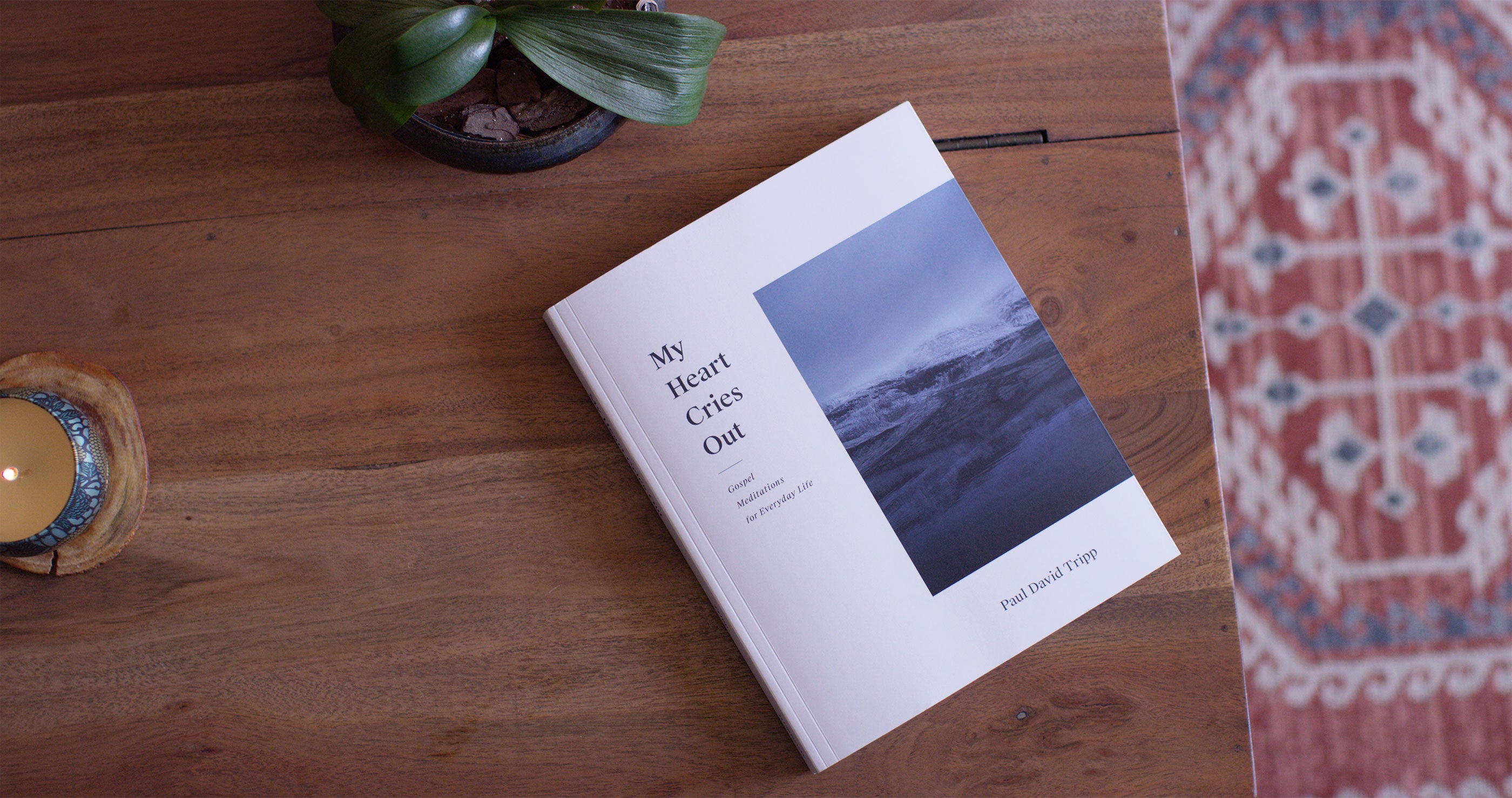 My Heart Cries Out: Gospel Meditations For Everyday Life