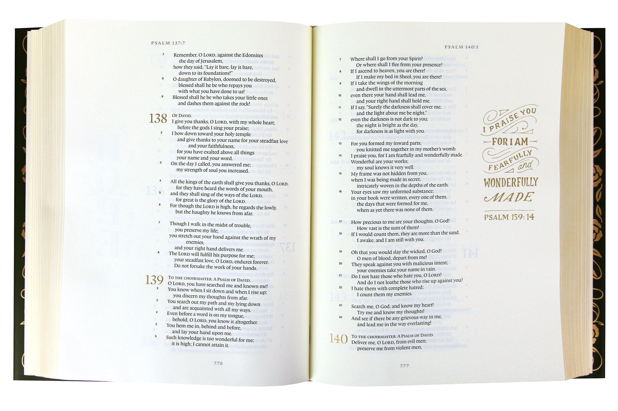 ESV Illuminated Bible Art Journaling Edition Green With Paper Dust Jacket (Black Letter Edition)