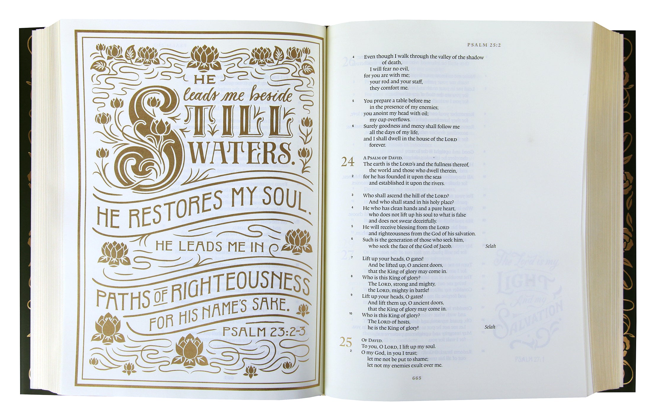 ESV Illuminated Bible Art Journaling Edition Green With Paper Dust Jacket (Black Letter Edition)
