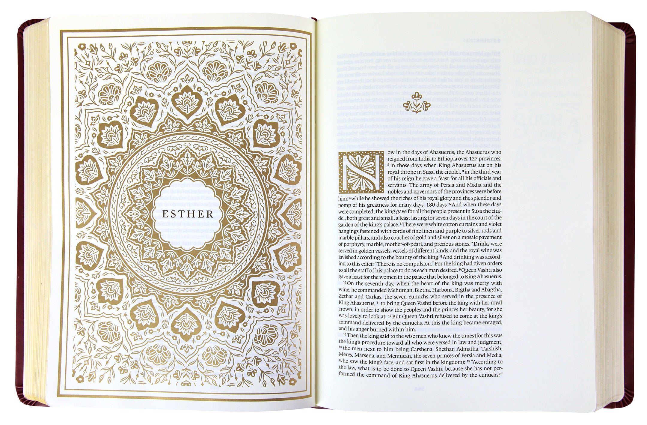 ESV Illuminated Bible Art Journaling Edition Burgundy (Black Letter Edition)