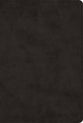 The Greek New Testament (Black)