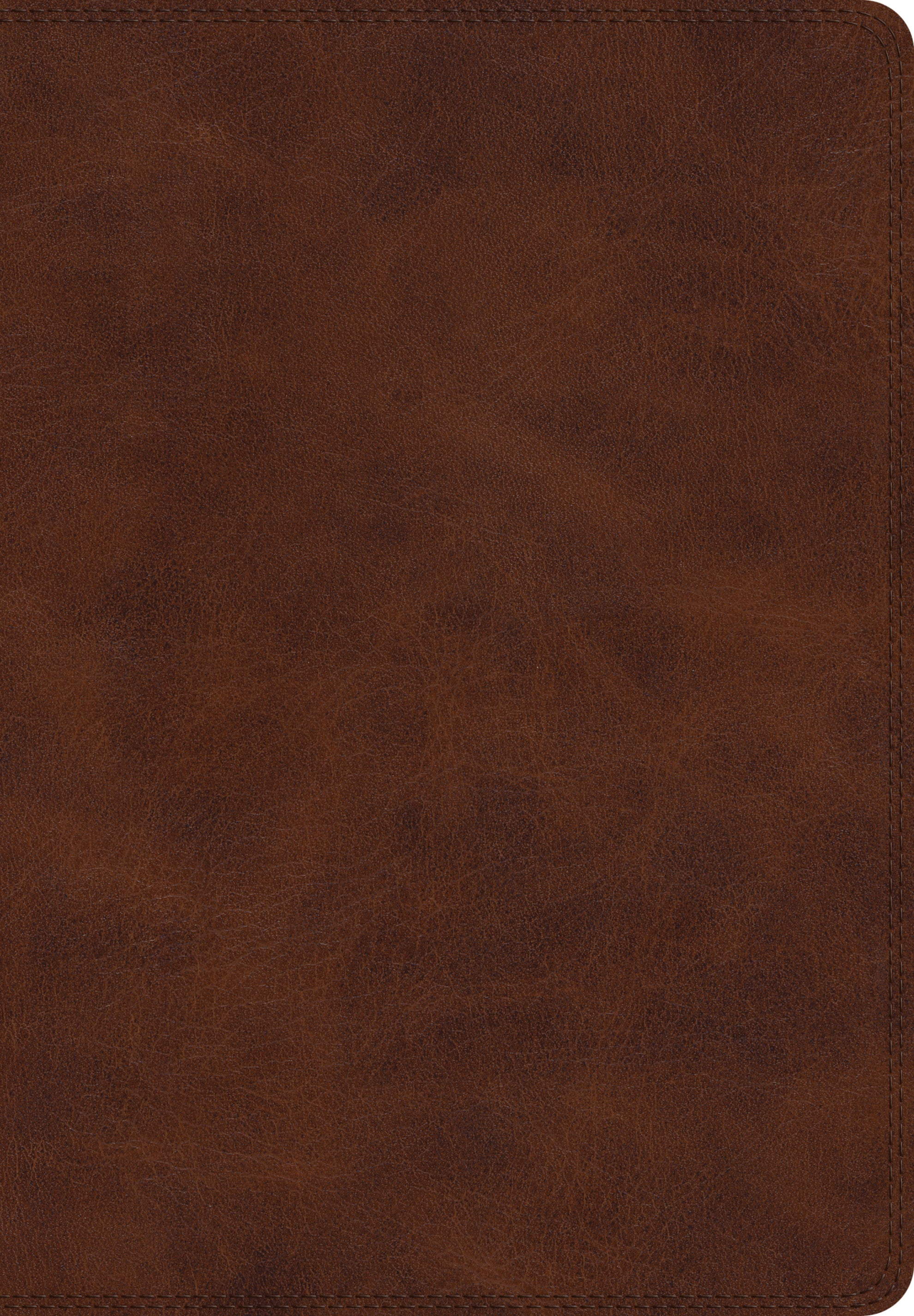 ESV Super Giant Print Bible Burgundy (Black Letter Edition)
