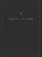 ESV Gospel of John Reader's Edition Large Print (Black Letter Edition)