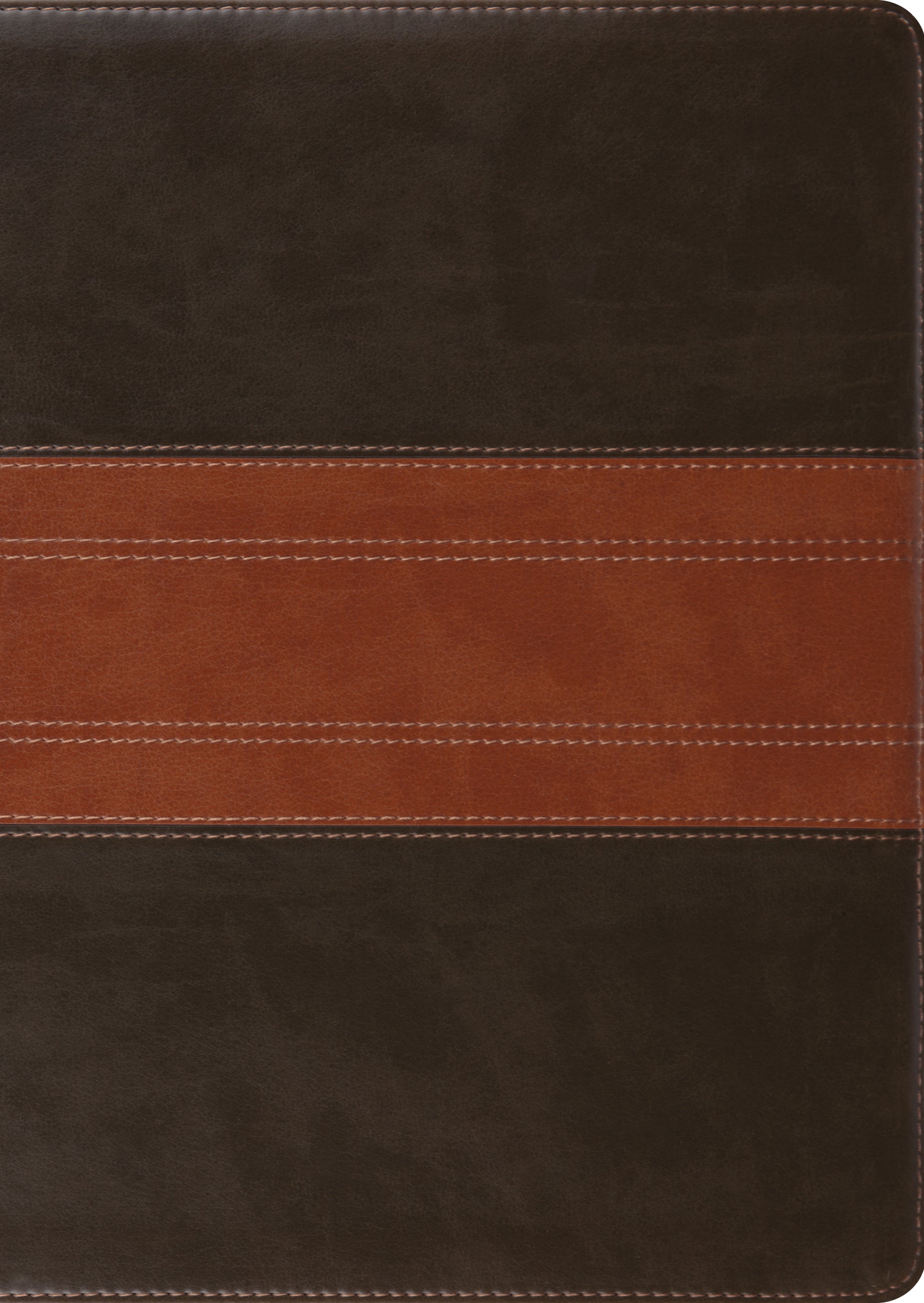 ESV Study Bible Large Print Forest/Tan Trail Design (Black Letter Edition)