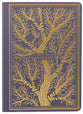 ESV Illuminated Scripture Journal Romans (Black Letter Edition)