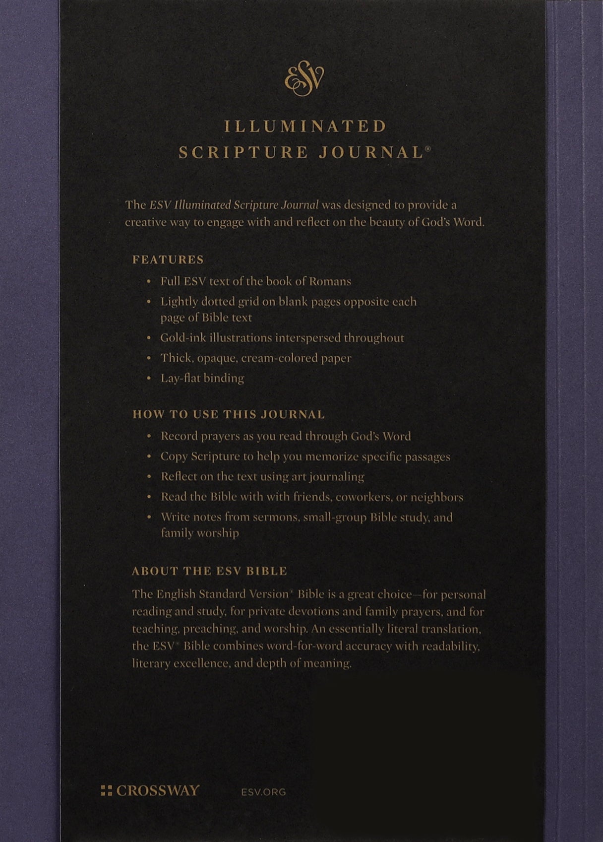 ESV Illuminated Scripture Journal Romans (Black Letter Edition)
