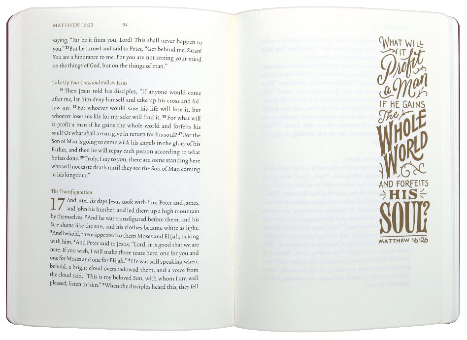 ESV Illuminated Scripture Journal Matthew (Black Letter Edition)