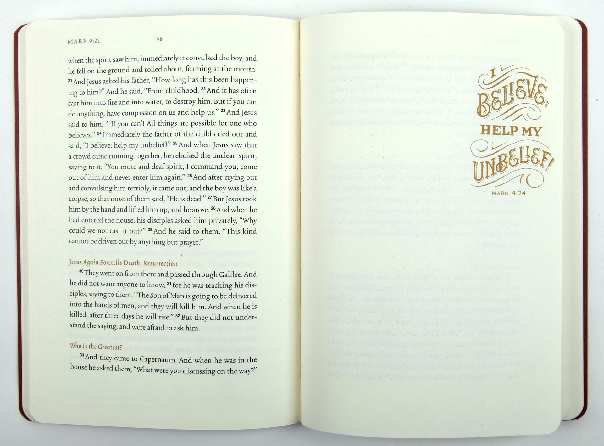 ESV Illuminated Scripture Journal Mark (Black Letter Edition)