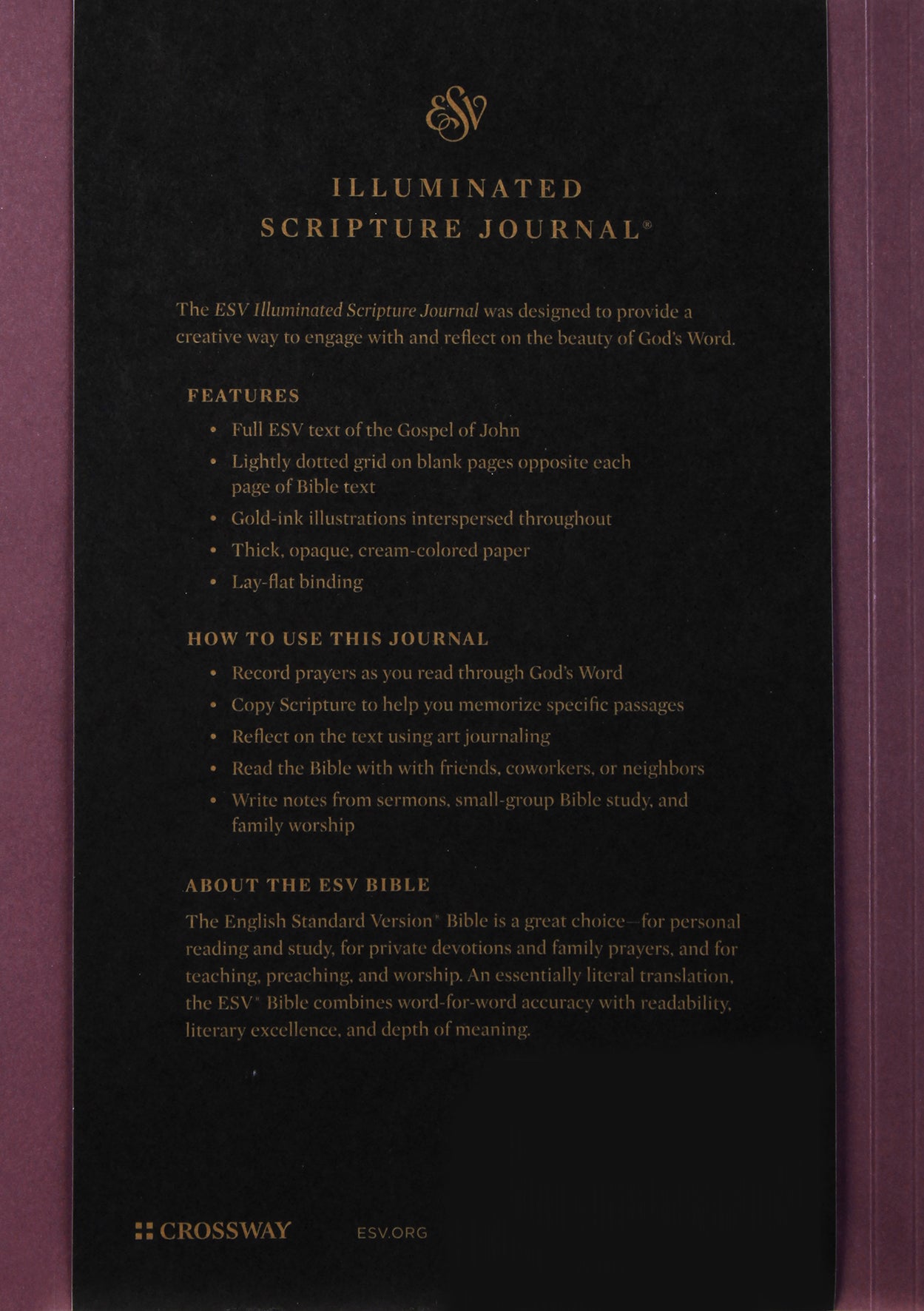 ESV Illuminated Scripture Journal John (Black Letter Edition)
