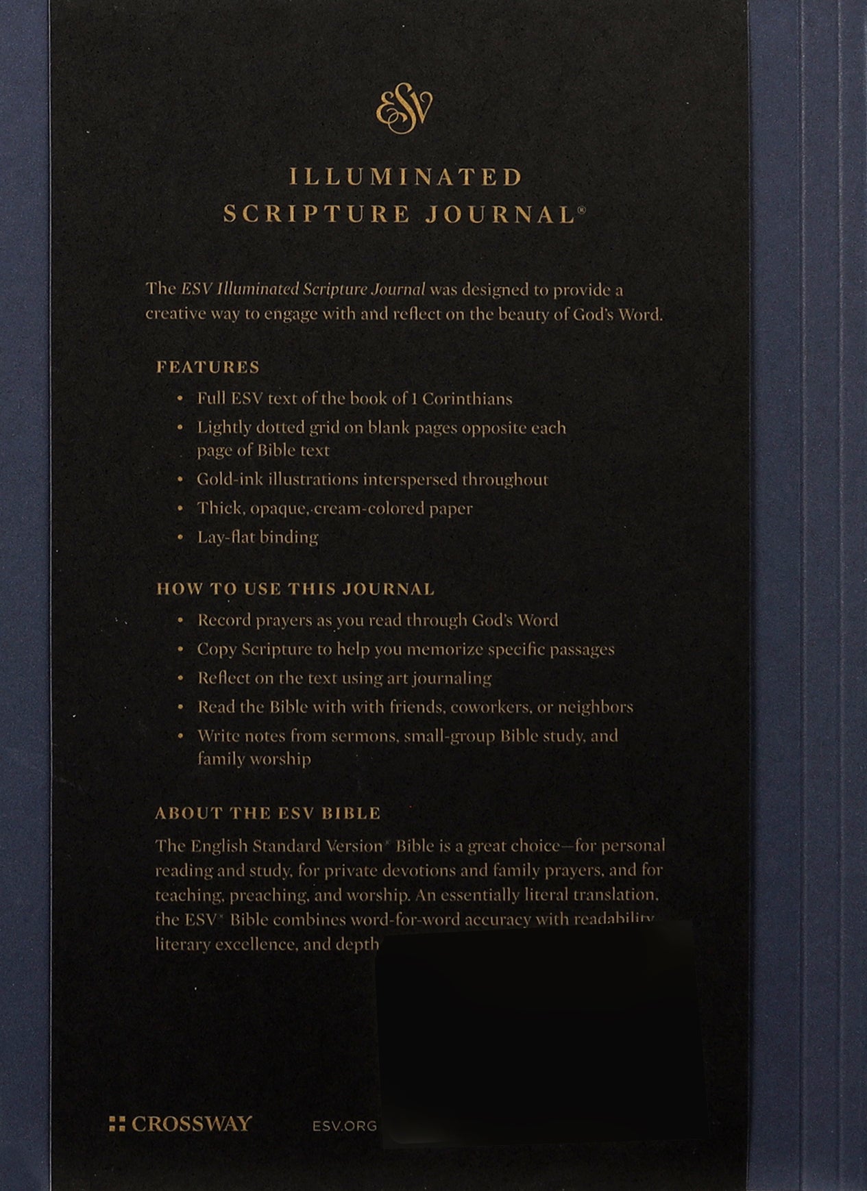 ESV Illuminated Scripture Journal 1 Corinthians (Black Letter Edition)