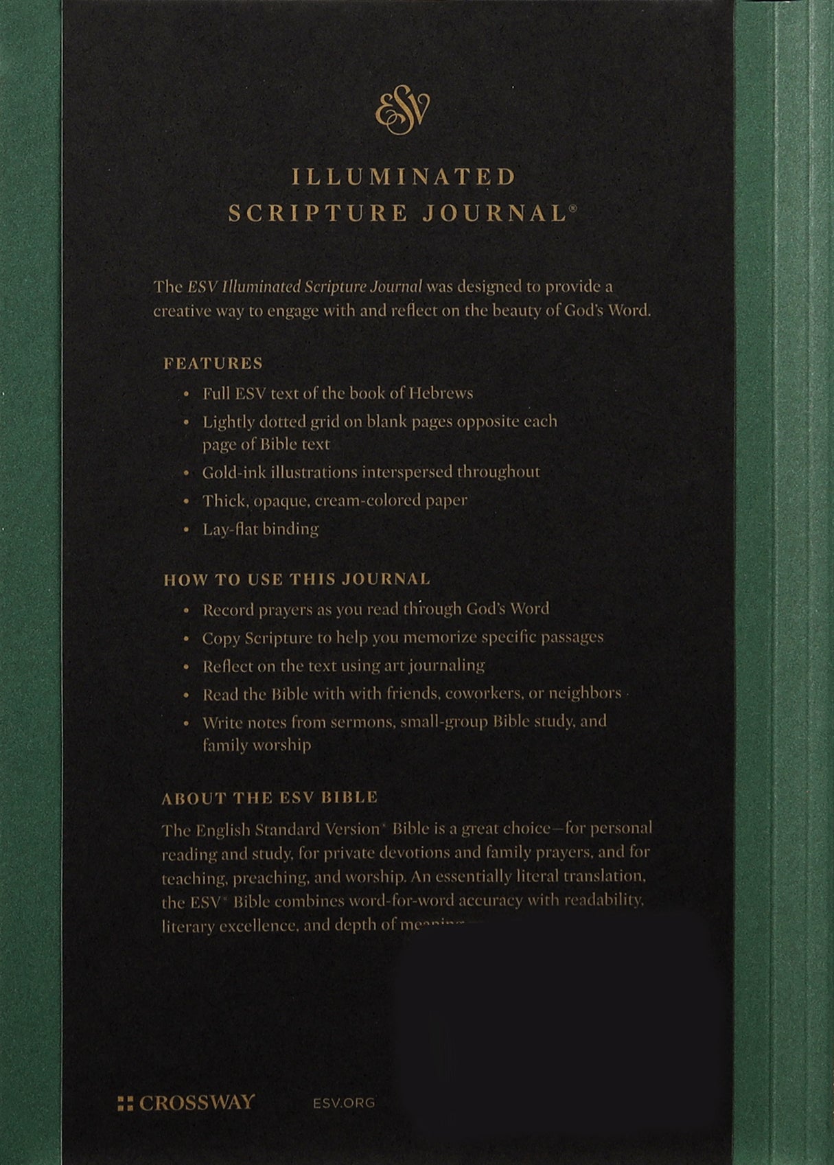 ESV Illuminated Scripture Journal Hebrews (Black Letter Edition)