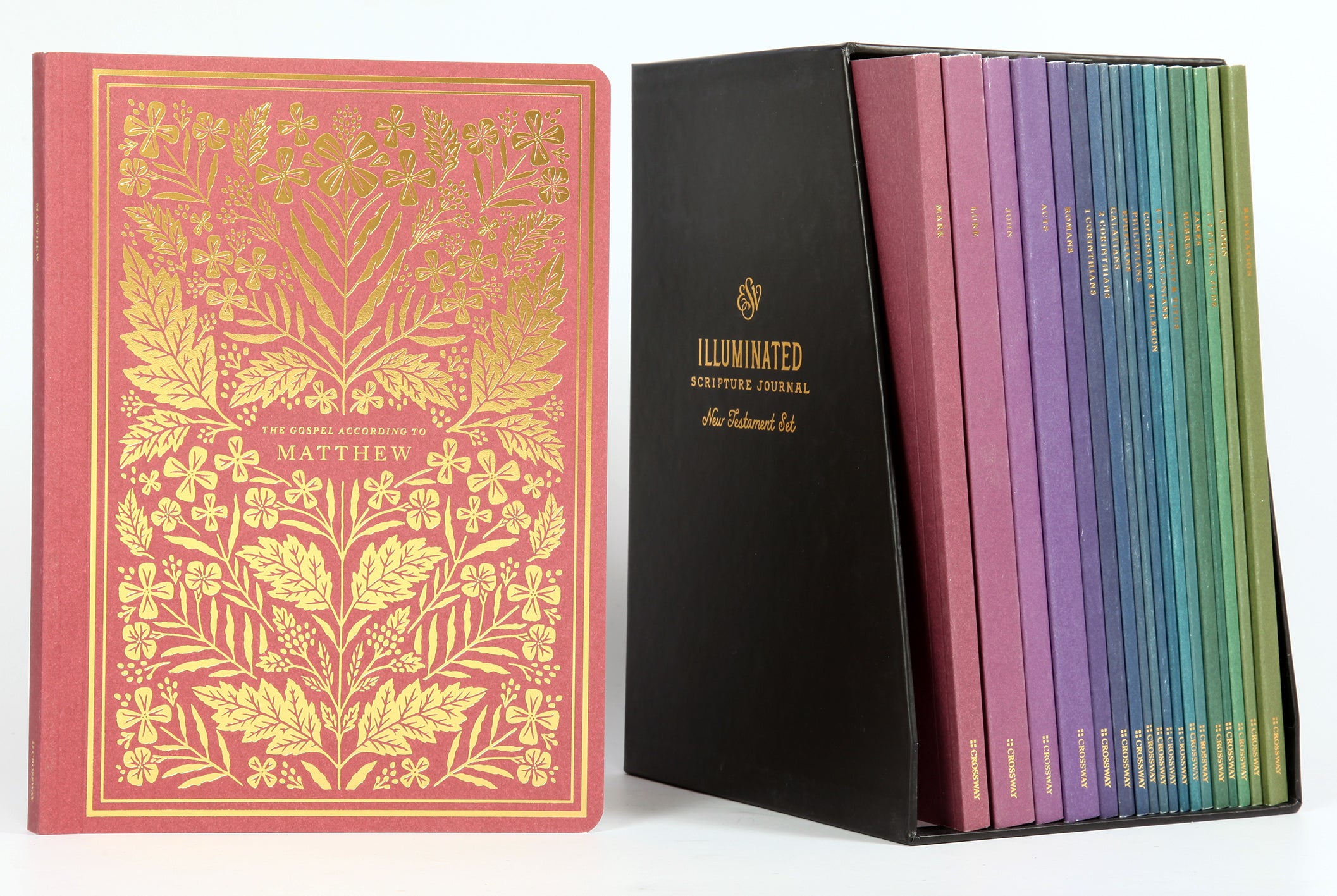 ESV Illuminated Scripture Journal New Testament Set (Black Letter Edition)