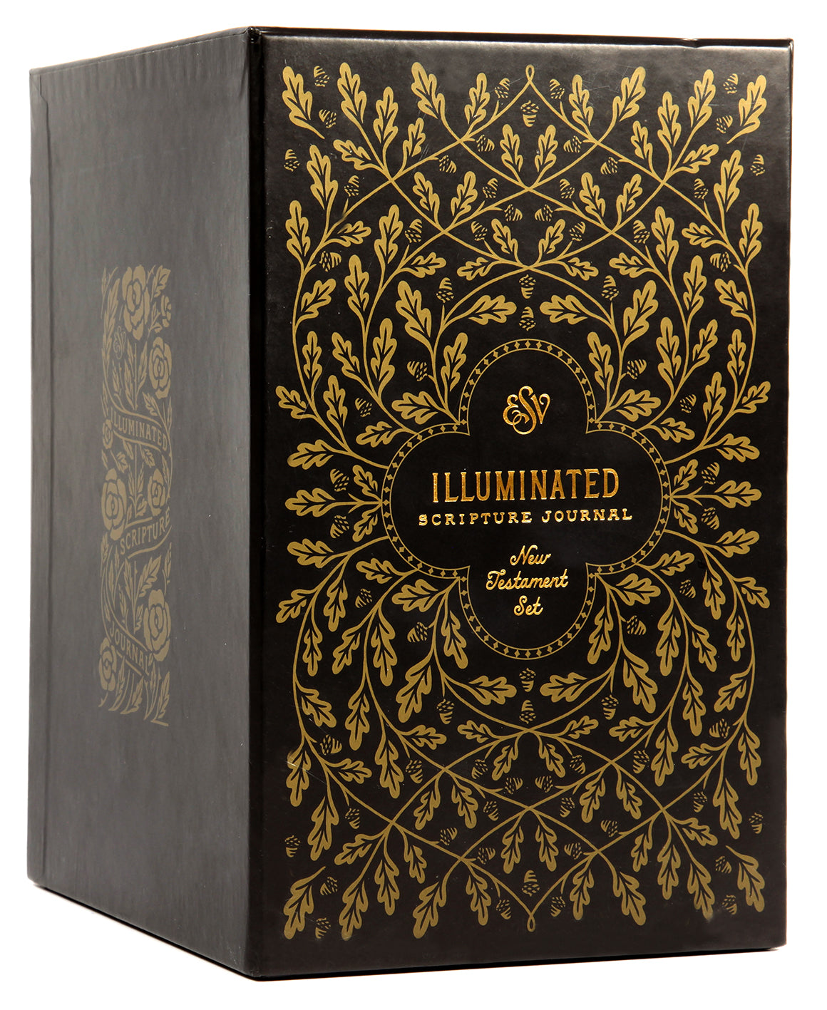ESV Illuminated Scripture Journal New Testament Set (Black Letter Edition)