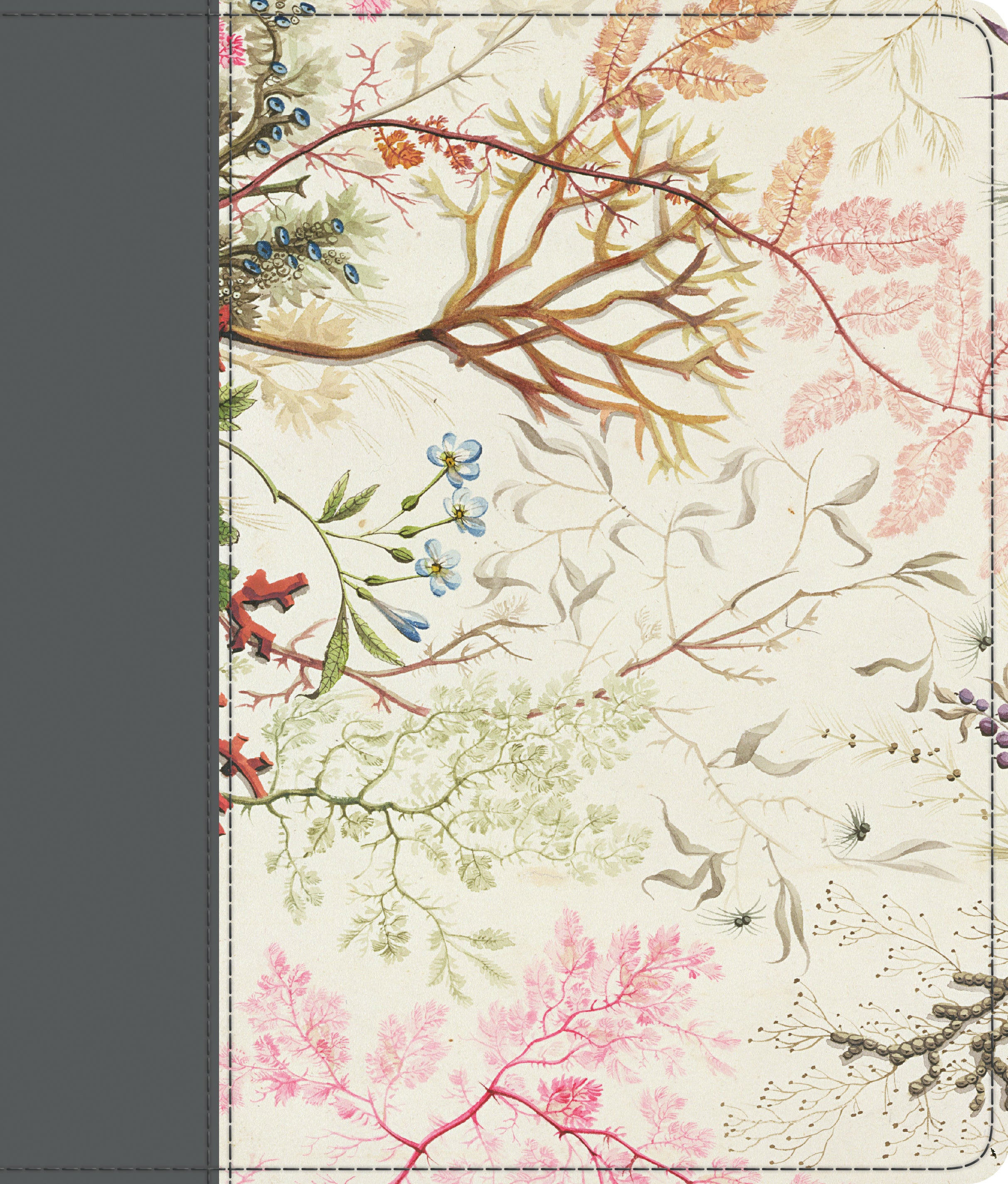ESV Journaling Bible Elegant Grace (Black Letter Edition)