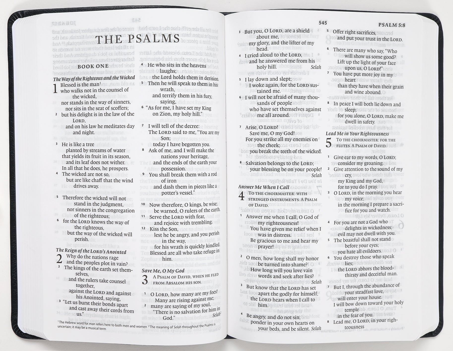 ESV Large Print Value Thinline Bible Navy Mosaic Cross Design (Black Letter Edition)