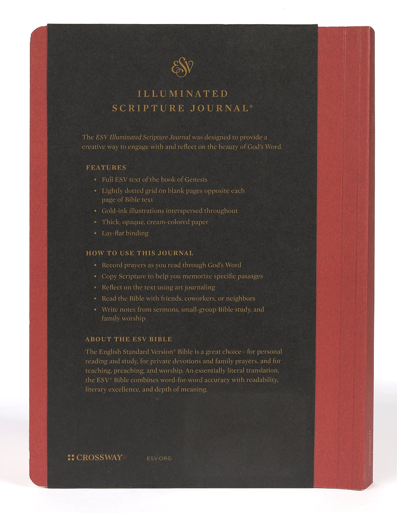 ESV Illuminated Scripture Journal Genesis (Black Letter Edition)
