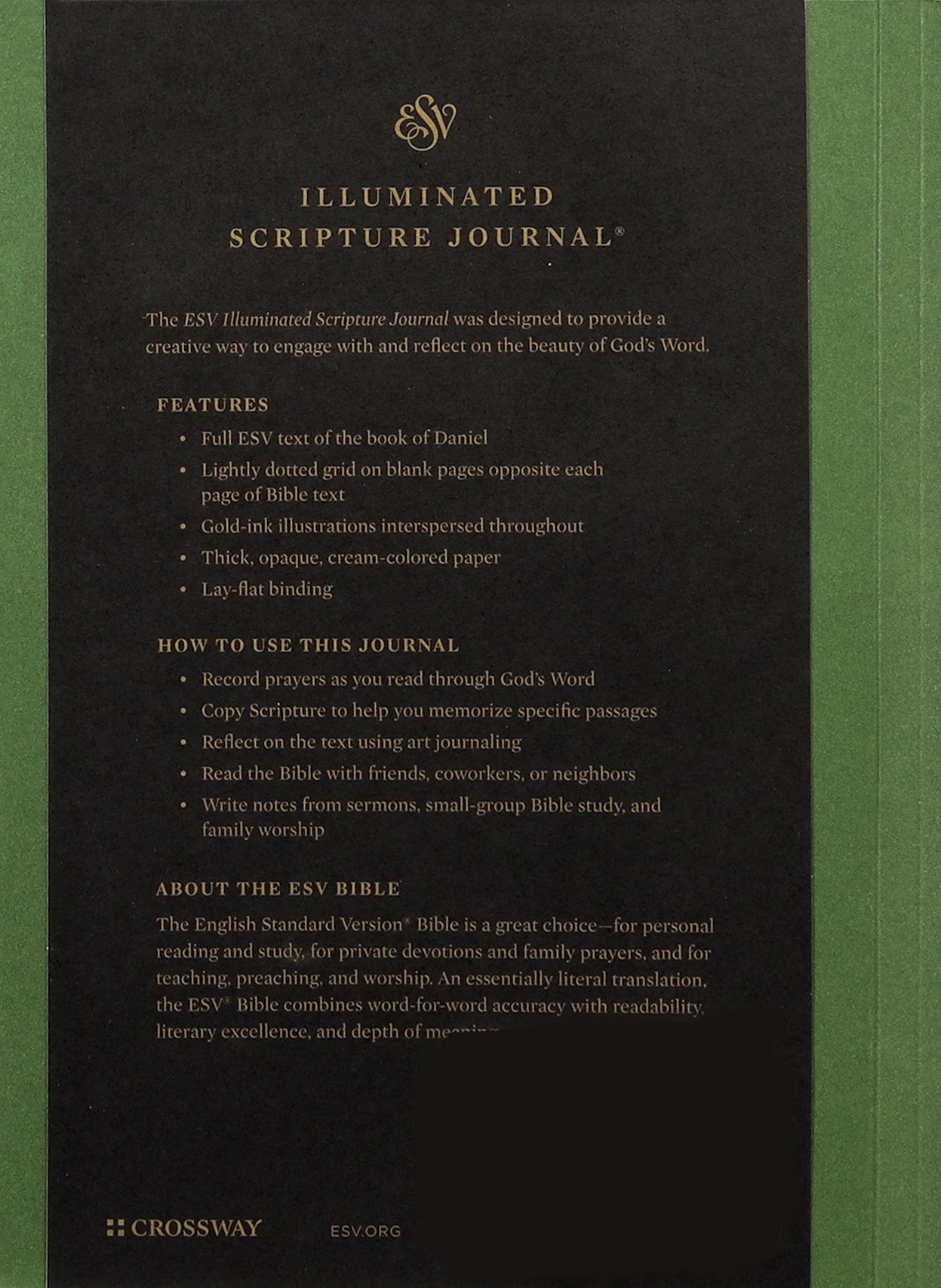 ESV Illuminated Scripture Journal Daniel (Black Letter Edition)