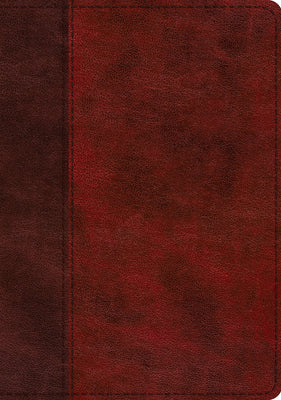 ESV Single Column Journaling Bible Large Print Burgundy/Red Timeless Design
