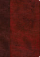 ESV Single Column Journaling Bible Large Print Burgundy/Red Timeless Design
