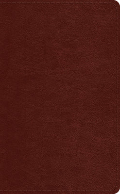 ESV Pocket Bible Chestnut