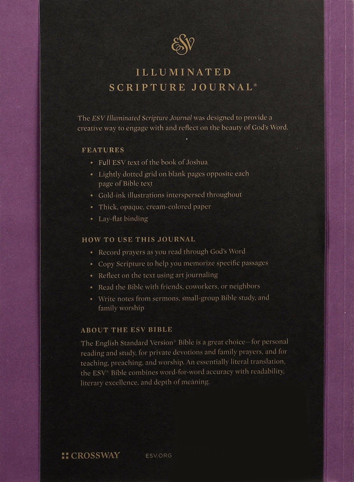 ESV Illuminated Scripture Journal Joshua (Black Letter Edition)