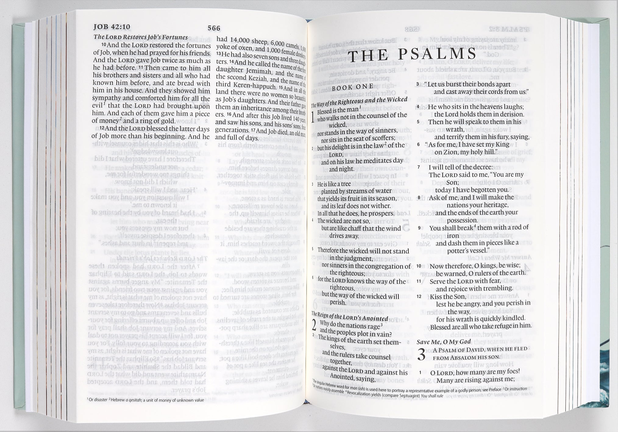 ESV Holy Bible For Kids Compact (Black Letter Edition)