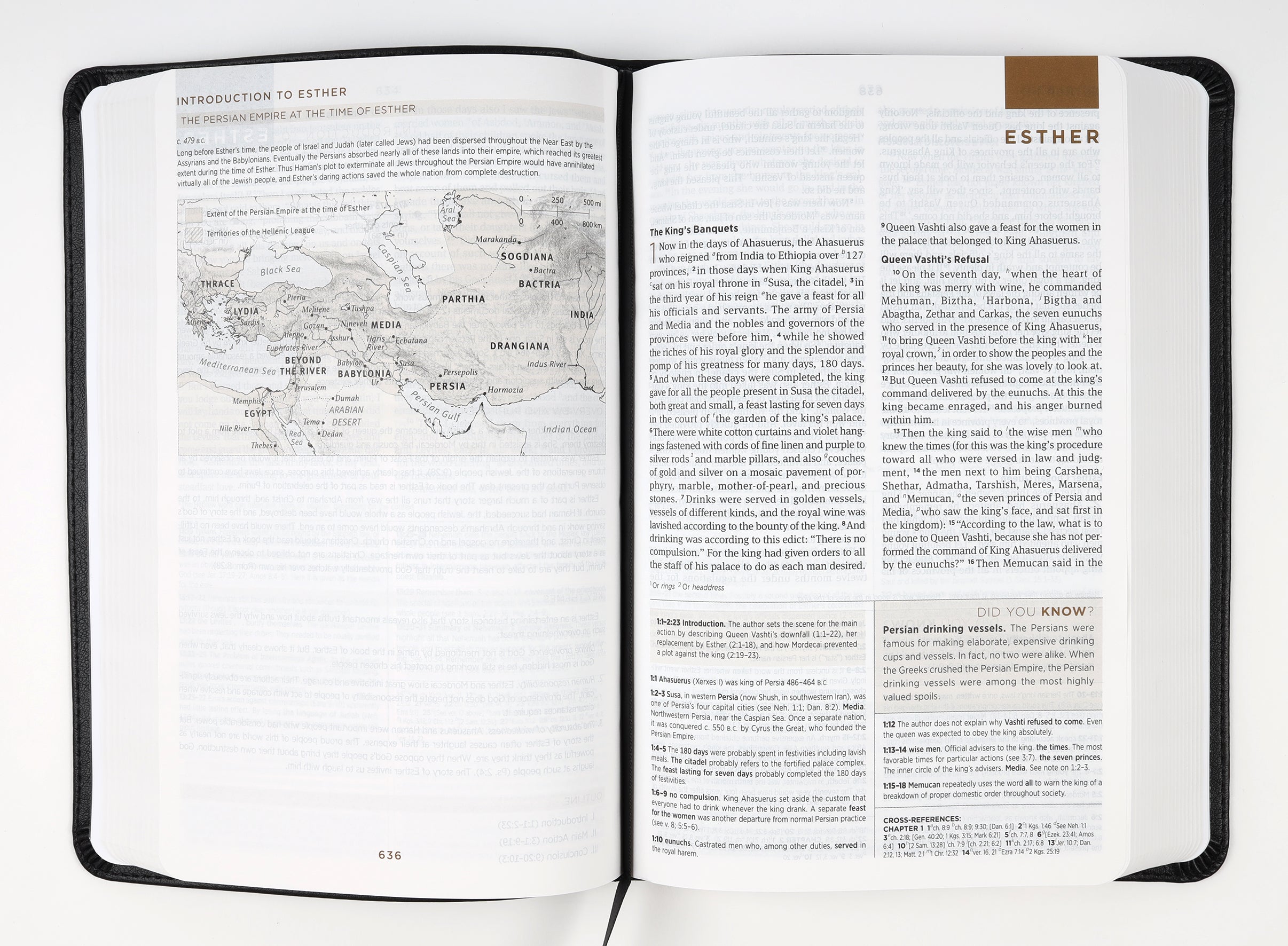 ESV Student Study Bible Black (Black Letter Edition)