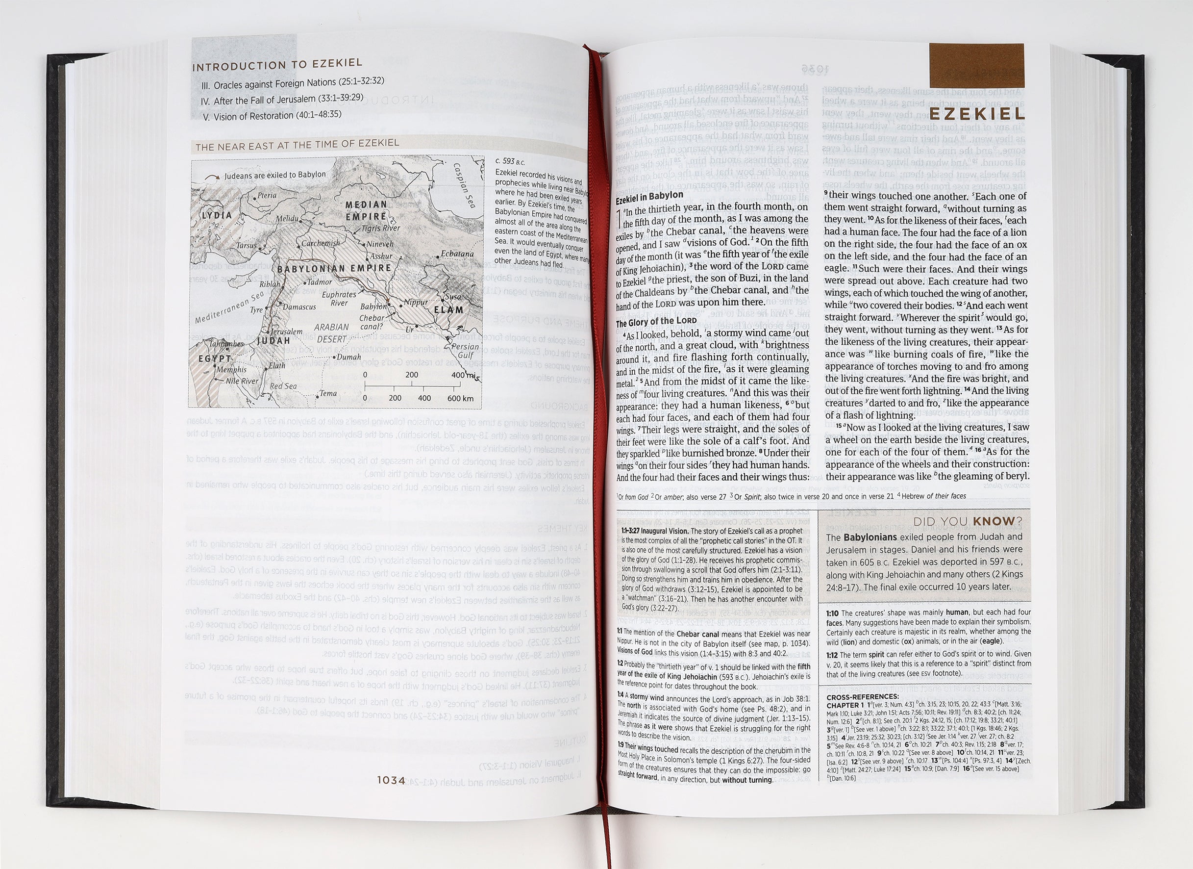 ESV Student Study Bible Flowers (Black Letter Edition)